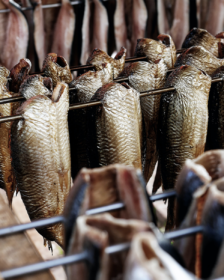 Dried Fish